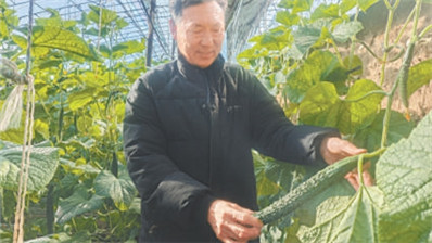 燕山脚下这个市场有点不一样