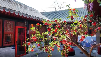 四合院里听戏赏画 来梅兰芳祖居过个时髦年！