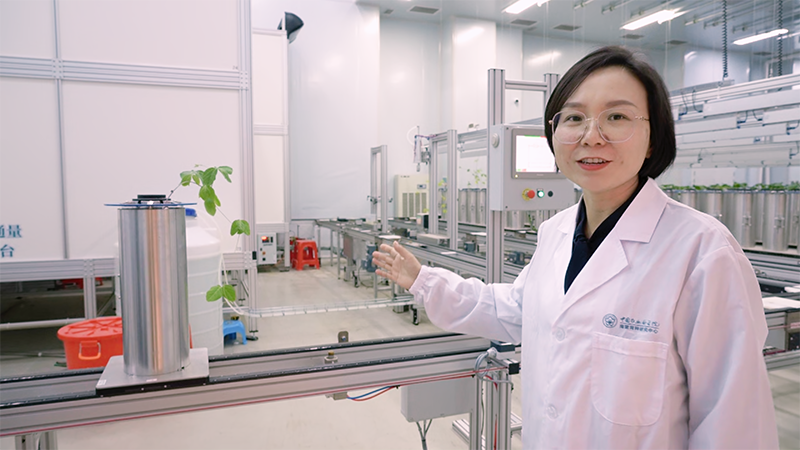 新春走基层｜这里的作物，正在做&ldquo;CT&rdquo;