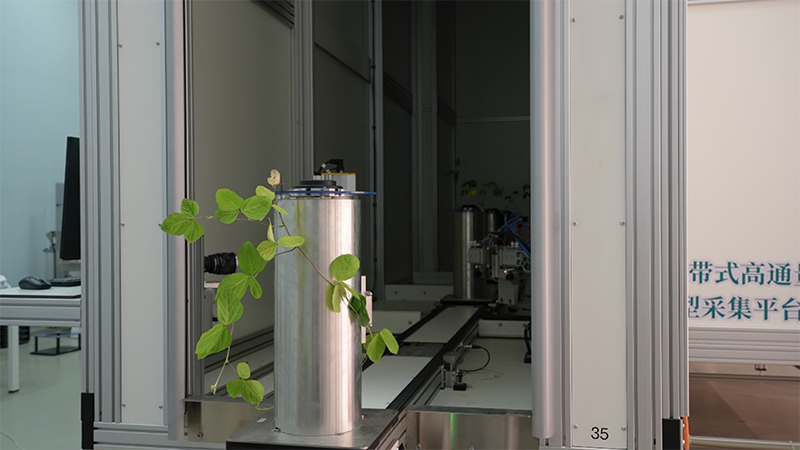 新春走基层｜这里的作物，正在做&ldquo;CT&rdquo;