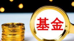 基金实时估值被叫停 投资者更该关注啥？