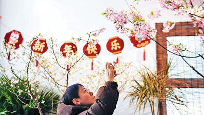 市属公园新春游园会正式开启