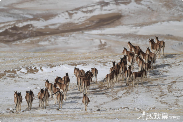 微信图片_20260213225002_1358_15