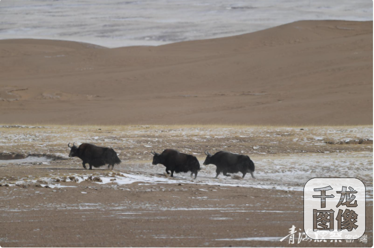 微信图片_20260213224920_1355_15