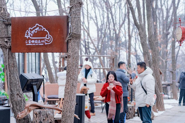 PT��Ѷ(�й���)����