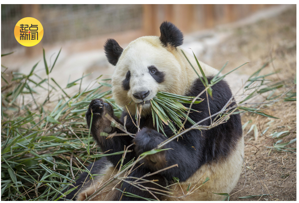 微信图片_20260219221850_1385_15