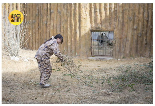 微信图片_20260219221905_1387_15