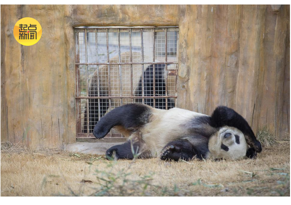 微信图片_20260219221914_1388_15