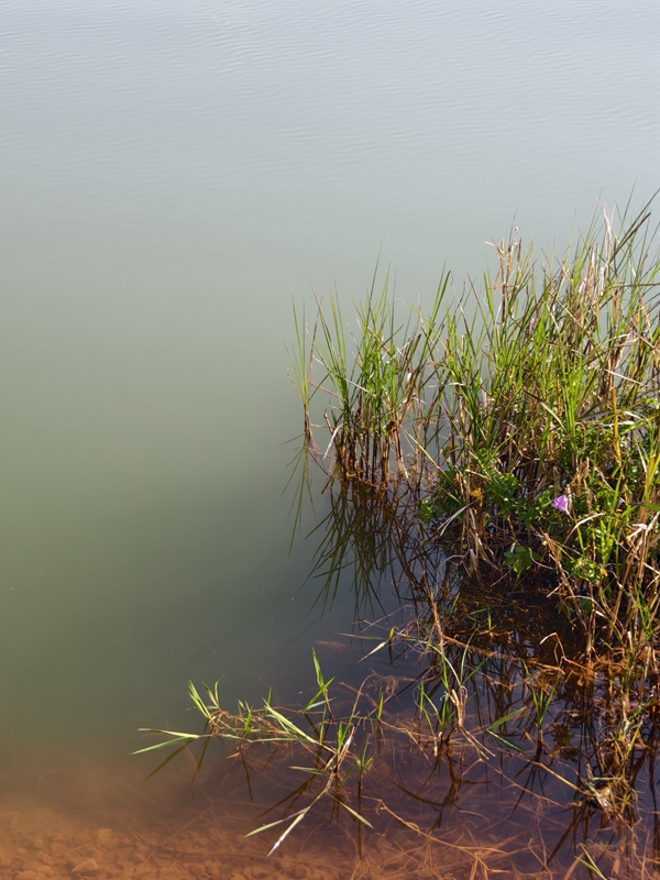 新春走基层｜山朝水朝，不如人来朝&mdash;&mdash;异龙湖畔感受高原湖泊治污成果