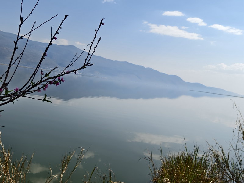 新春走基层｜山朝水朝，不如人来朝&mdash;&mdash;异龙湖畔感受高原湖泊治污成果