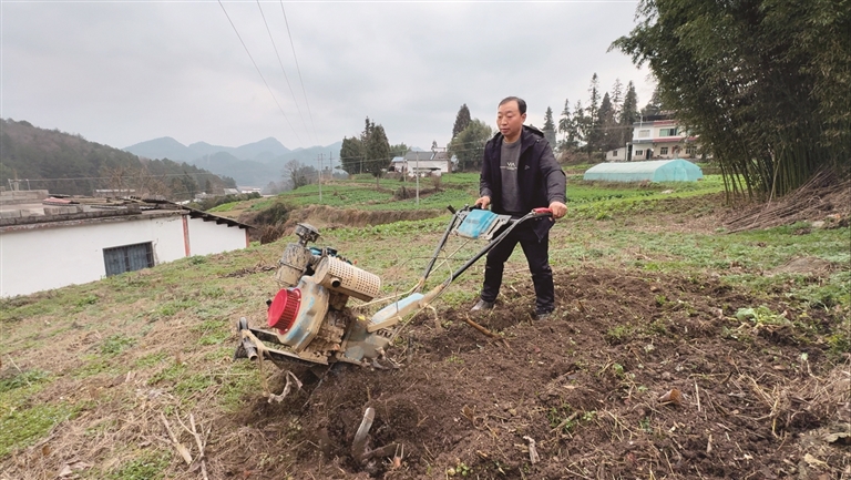 【新春走基层·走进贵州】峰岩村:跟着农艺师去下乡 【新春走基层·走进贵州】峰岩村:跟着农艺师去下乡