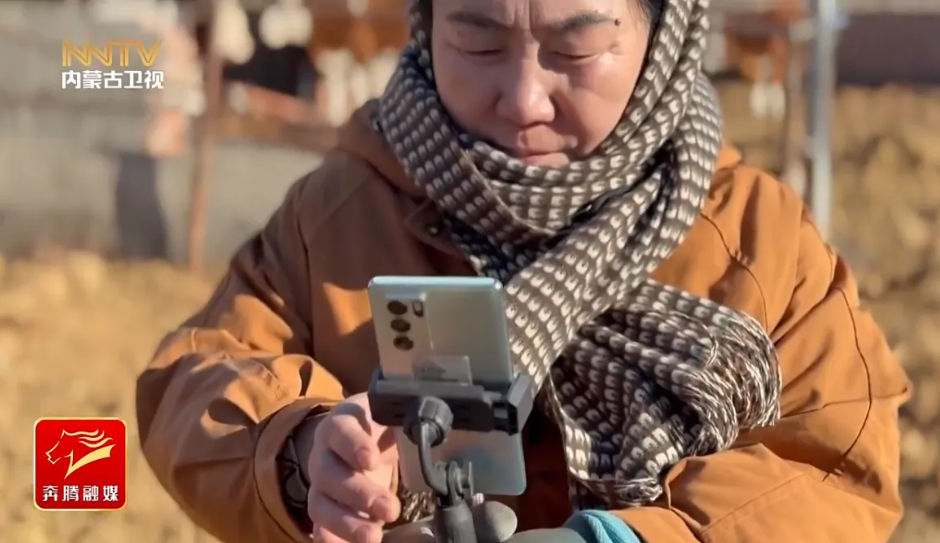 微信图片_20260223104423_114_2