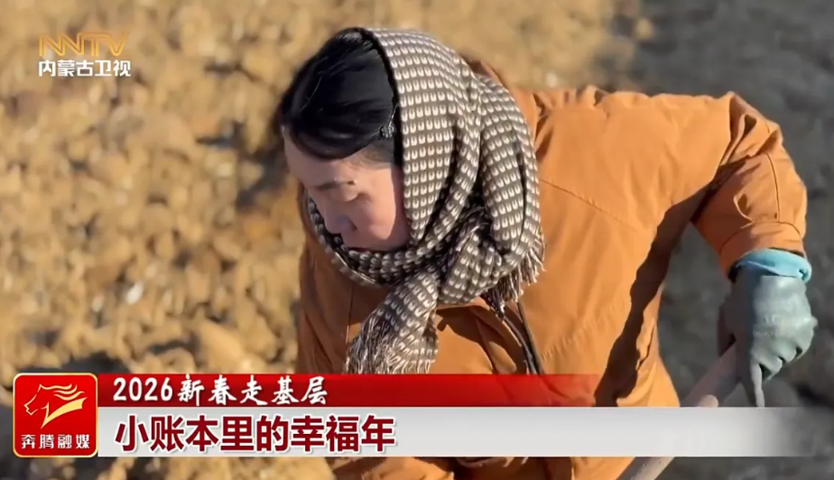 微信图片_20260223104443_116_2