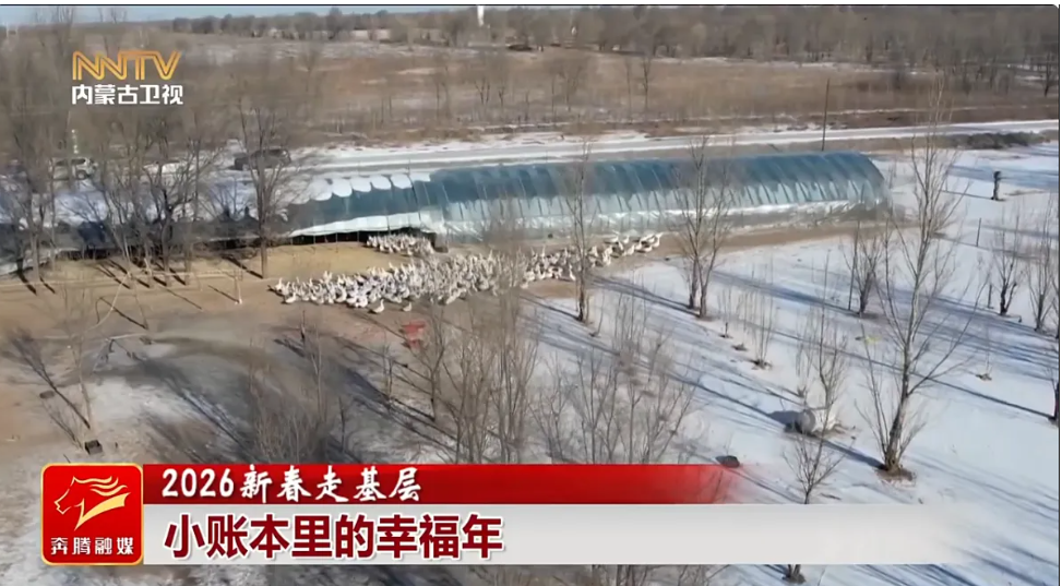 微信图片_20260223104505_119_2