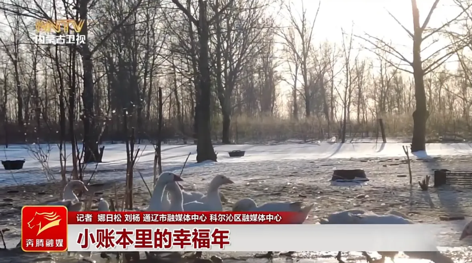 微信图片_20260223104519_121_2