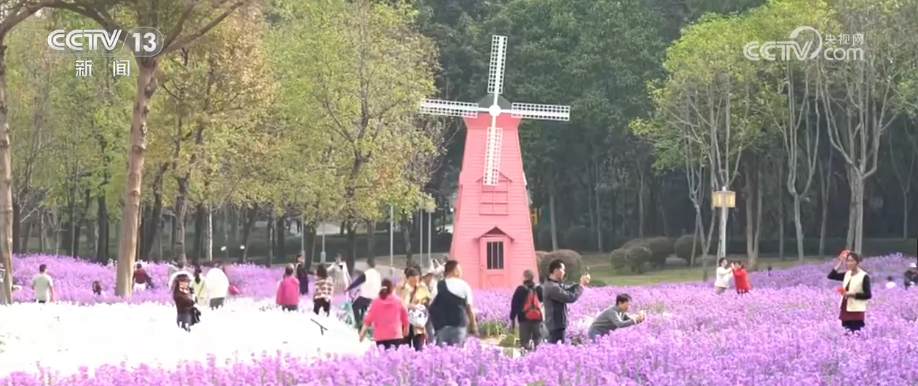 PT��Ѷ(�й���)����