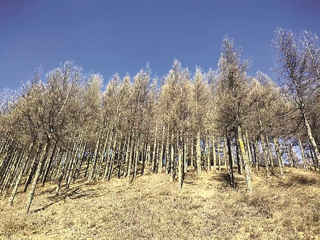 【新春走基层·走进西海固】那块原本贫瘠的新春土地，&ldquo;肥沃&rdquo;起来了