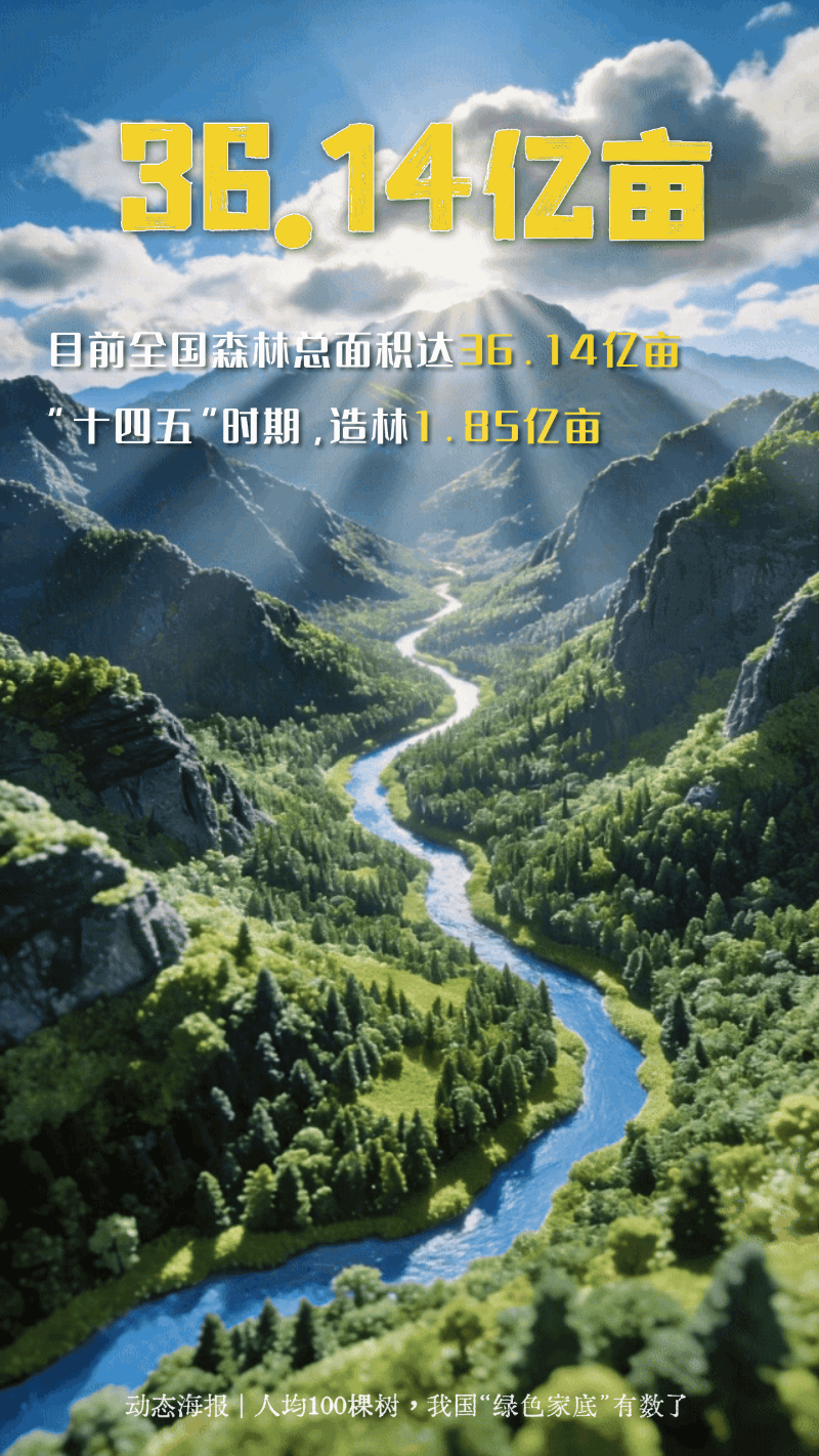 �˾�100������һ�鶯̬�������ҹ�����ɫ�ҵס�