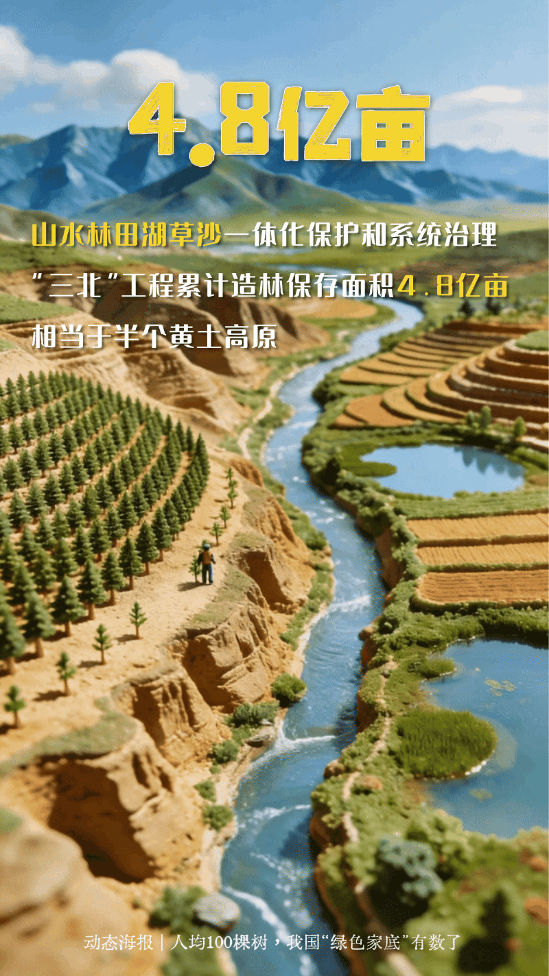 �˾�100������һ�鶯̬�������ҹ�����ɫ�ҵס�