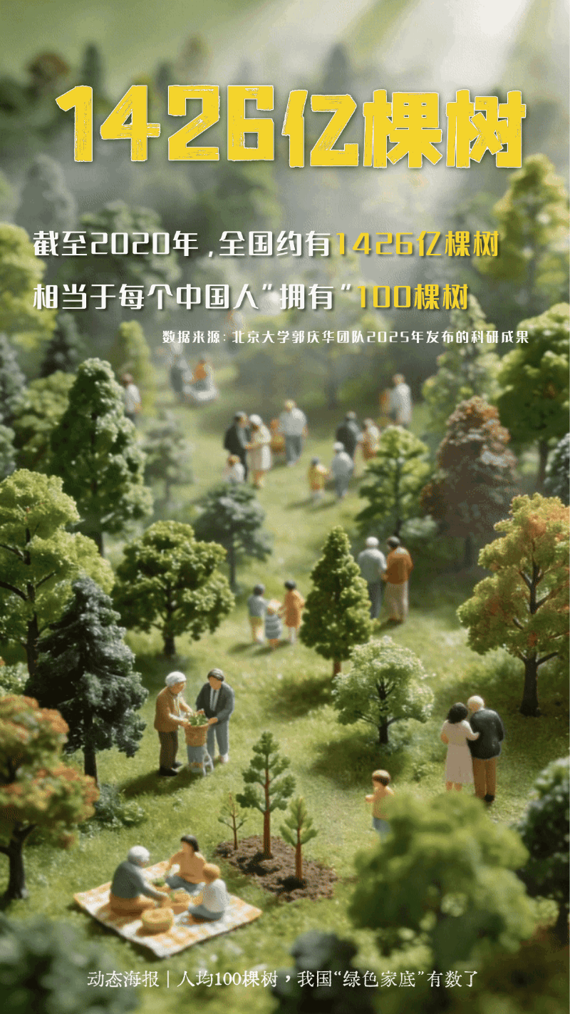 �˾�100������һ�鶯̬�������ҹ�����ɫ�ҵס�