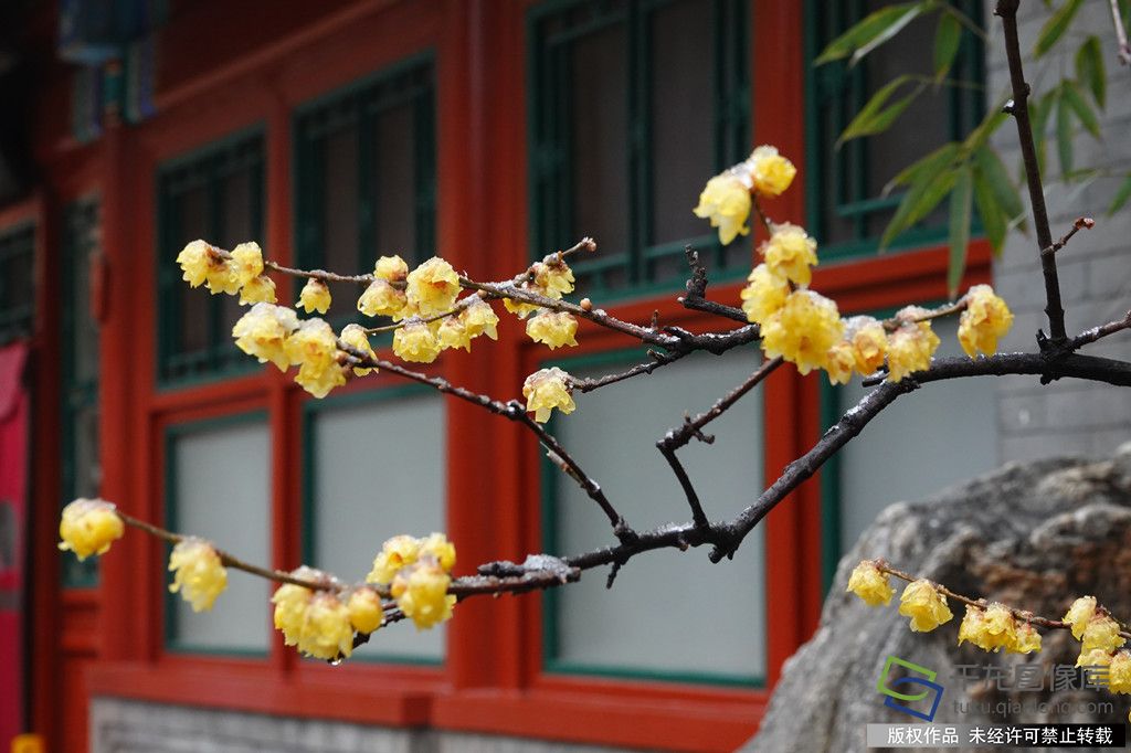 微信图片_20260227165948_397_4542_副本