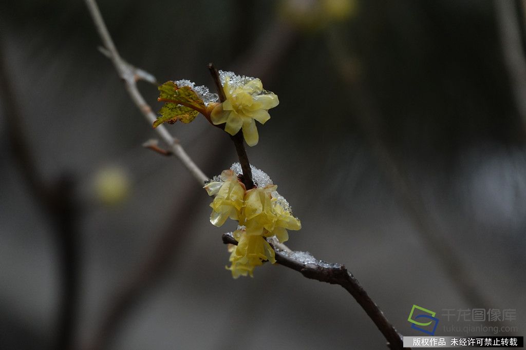 微信图片_20260227165914_396_4542_副本