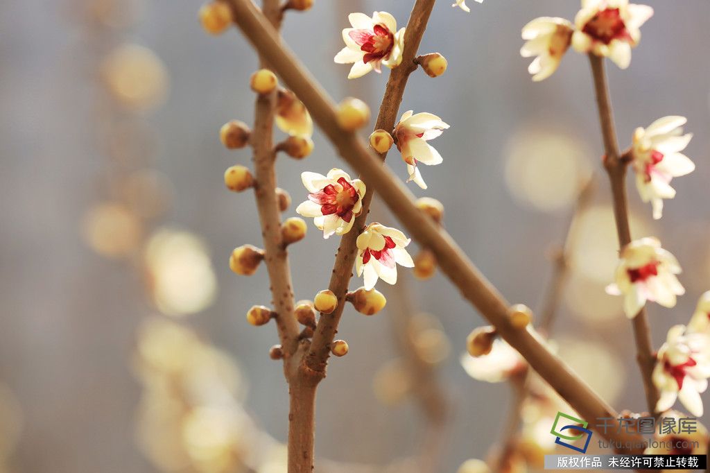 微信图片_20260226094304_373_4542_副本