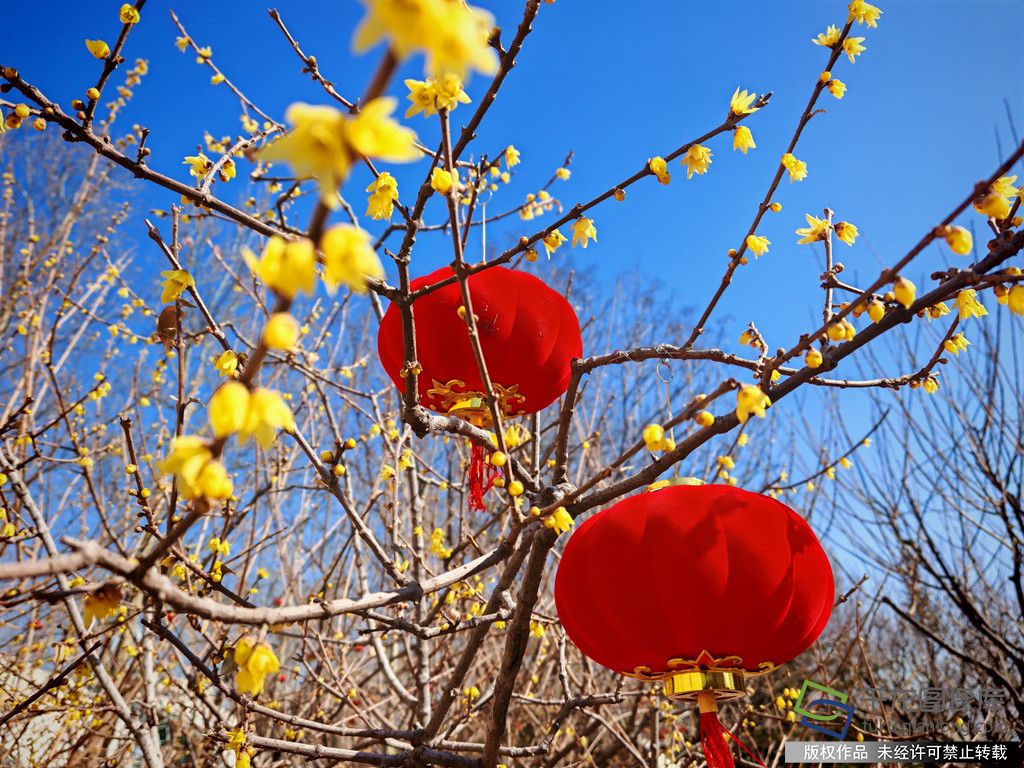 微信图片_20260226094314_375_4542_副本