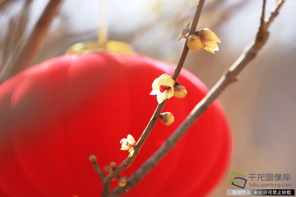 微信图片_20260226094309_374_4542_副本