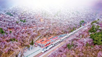 燕山叠翠 城园相融