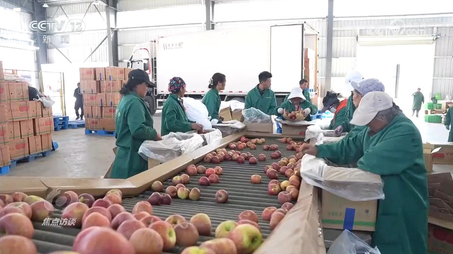 PT��Ѷ(�й���)����