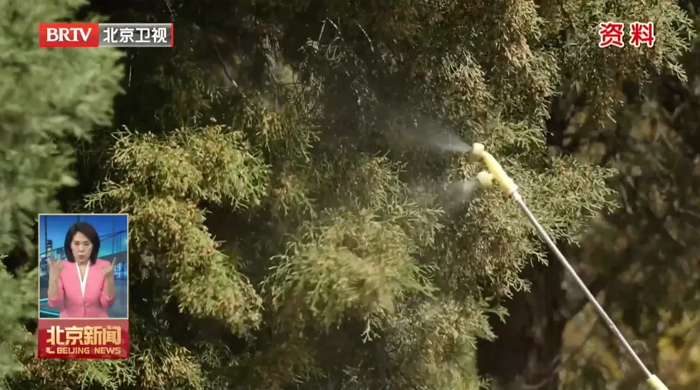 微信图片_20260303194732_2455_6