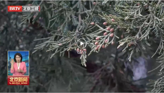 微信图片_20260303194929_2456_6