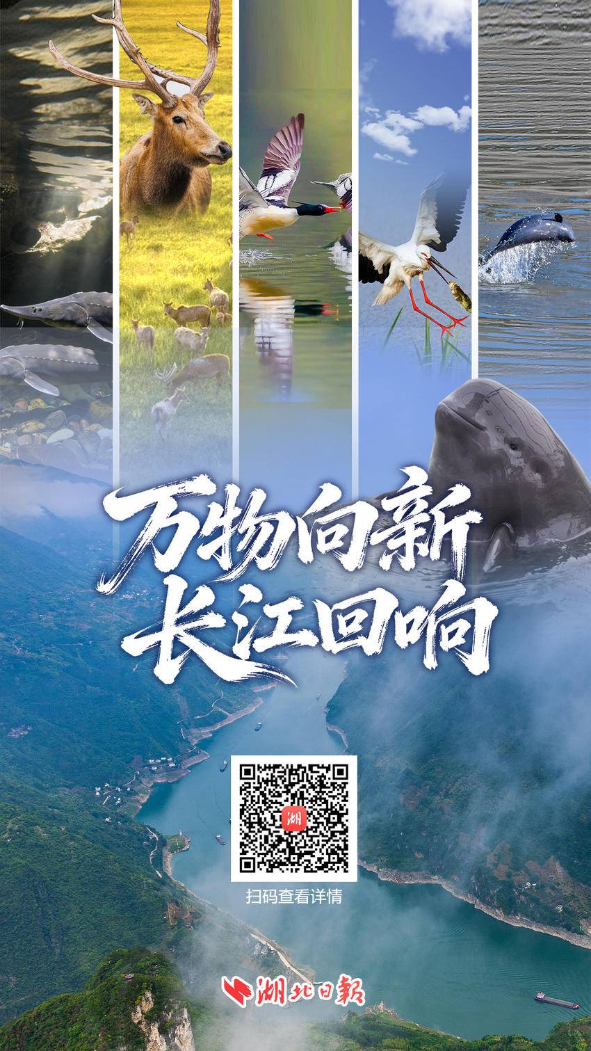 微信图片_20260303213708_2457_6