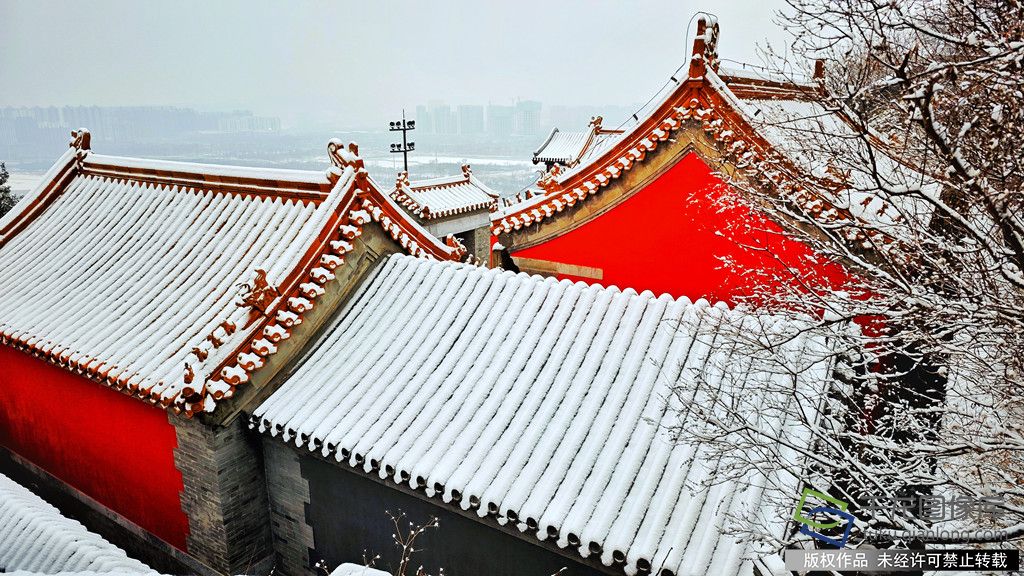 微信图片_20260305101001_475_4542_副本