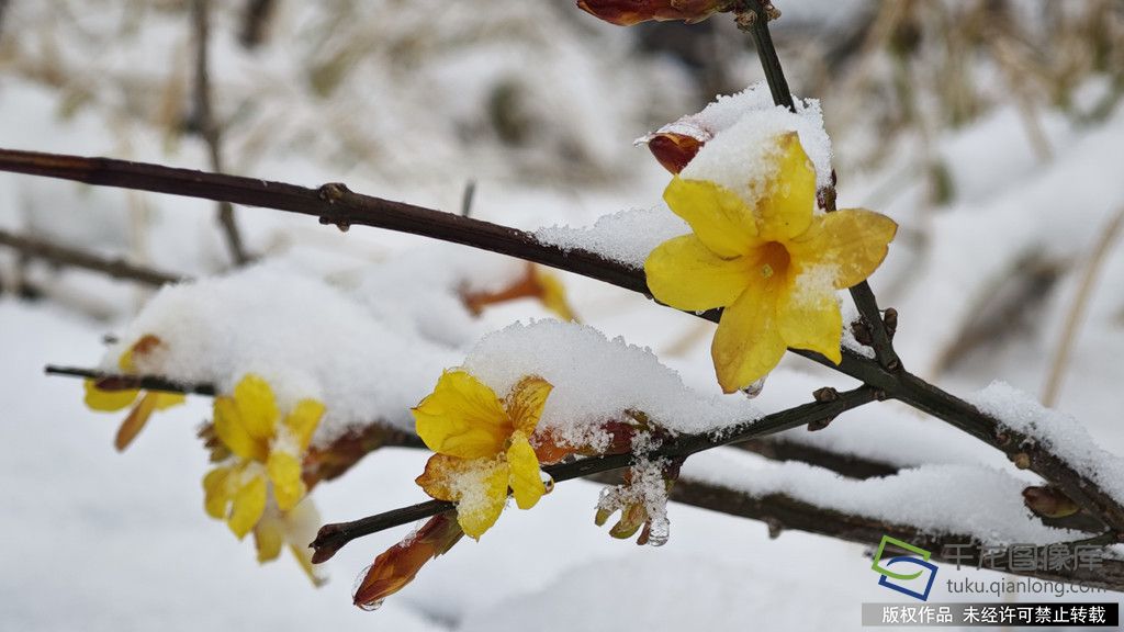 微信图片_20260305100949_465_4542_副本