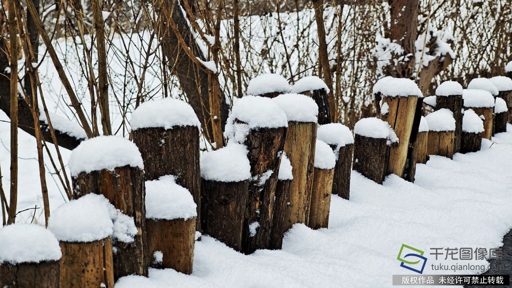 微信图片_20260305101012_483_4542_副本