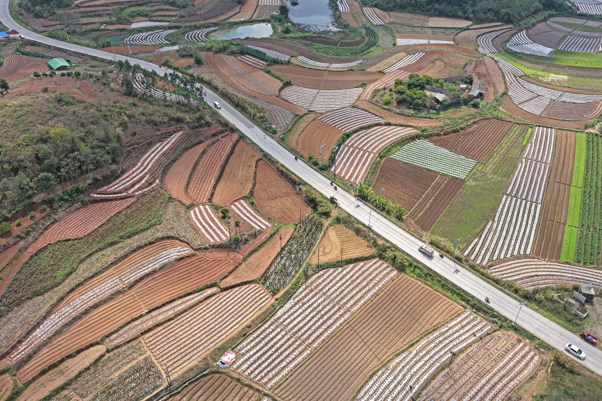 大地惊蛰！奏响春天的奋进序曲