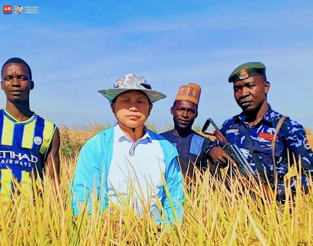 17726184309429.jpg IMG_1647.jpg