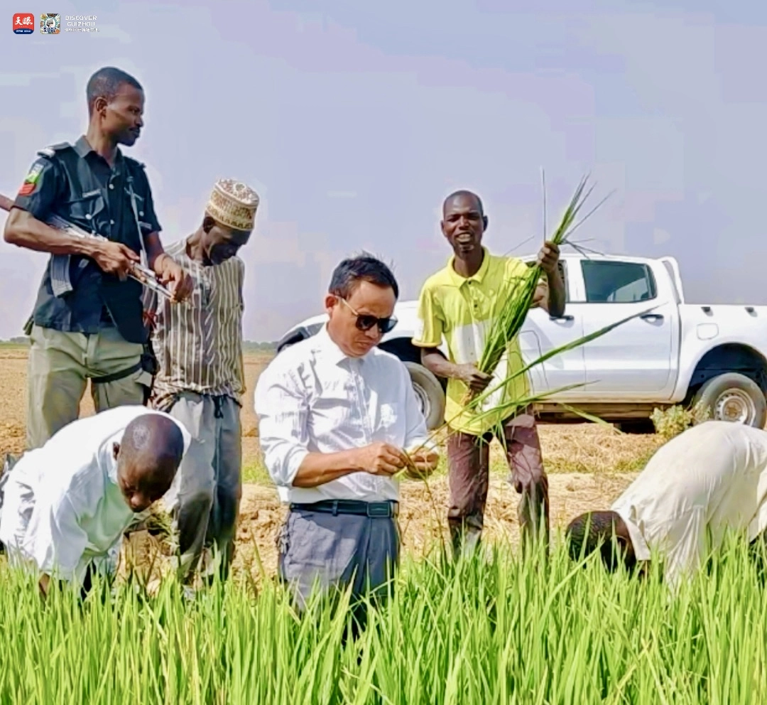 17726185721593.jpg IMG_1671.jpg