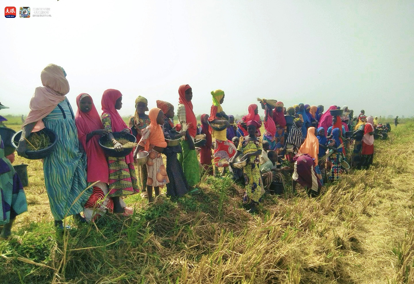 17726187545614.jpg IMG_1652.jpg