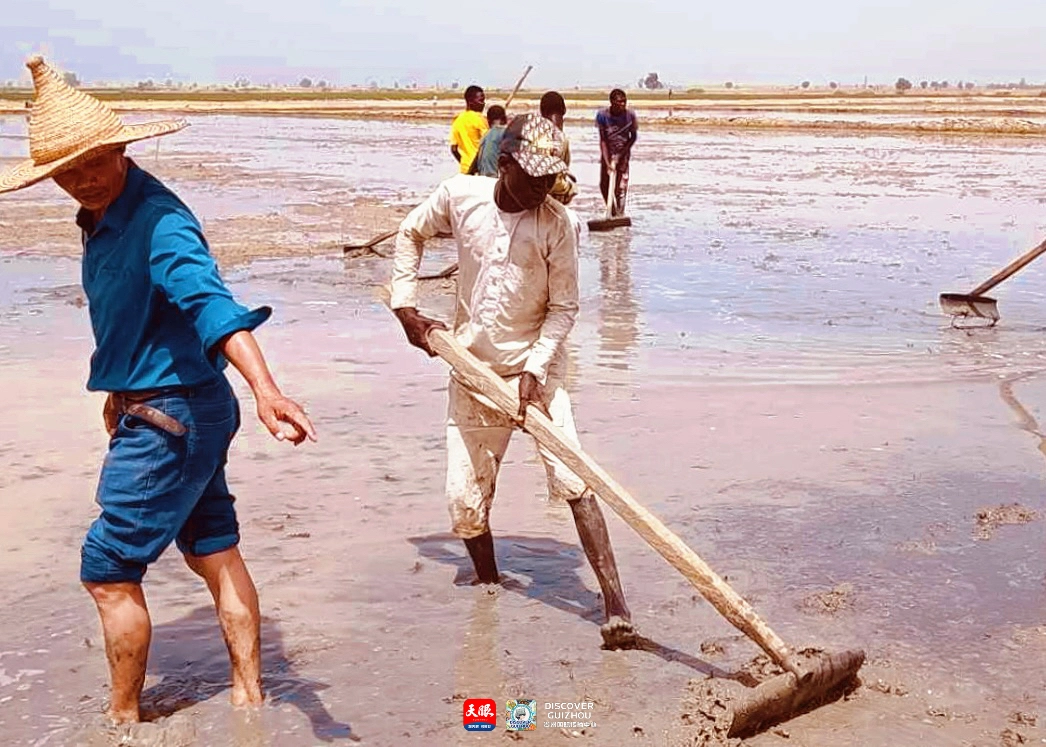 17726184799678.JPG IMG_1657.JPG