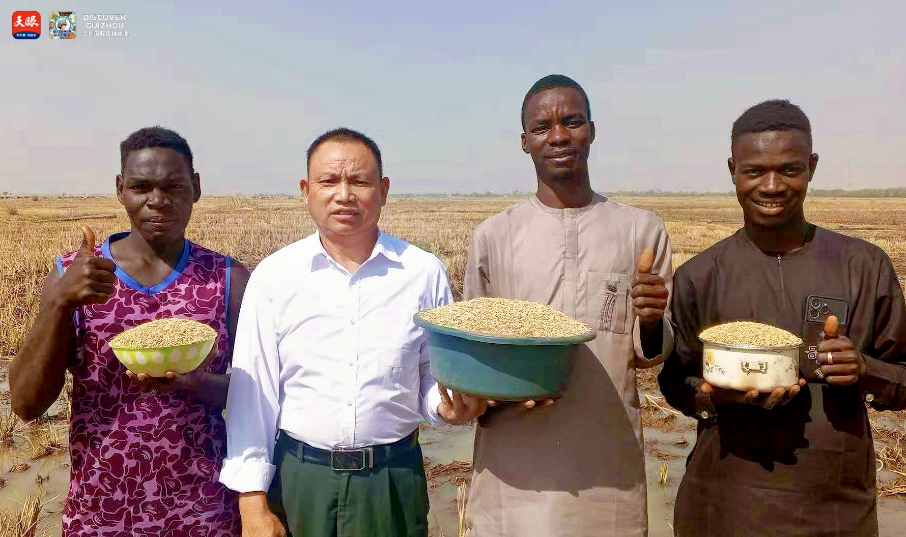 17726186023416.jpg IMG_1654.jpg