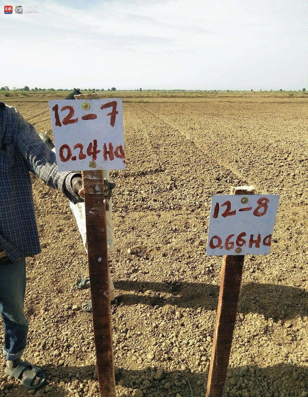 17726185369009.jpg IMG_1648.jpg