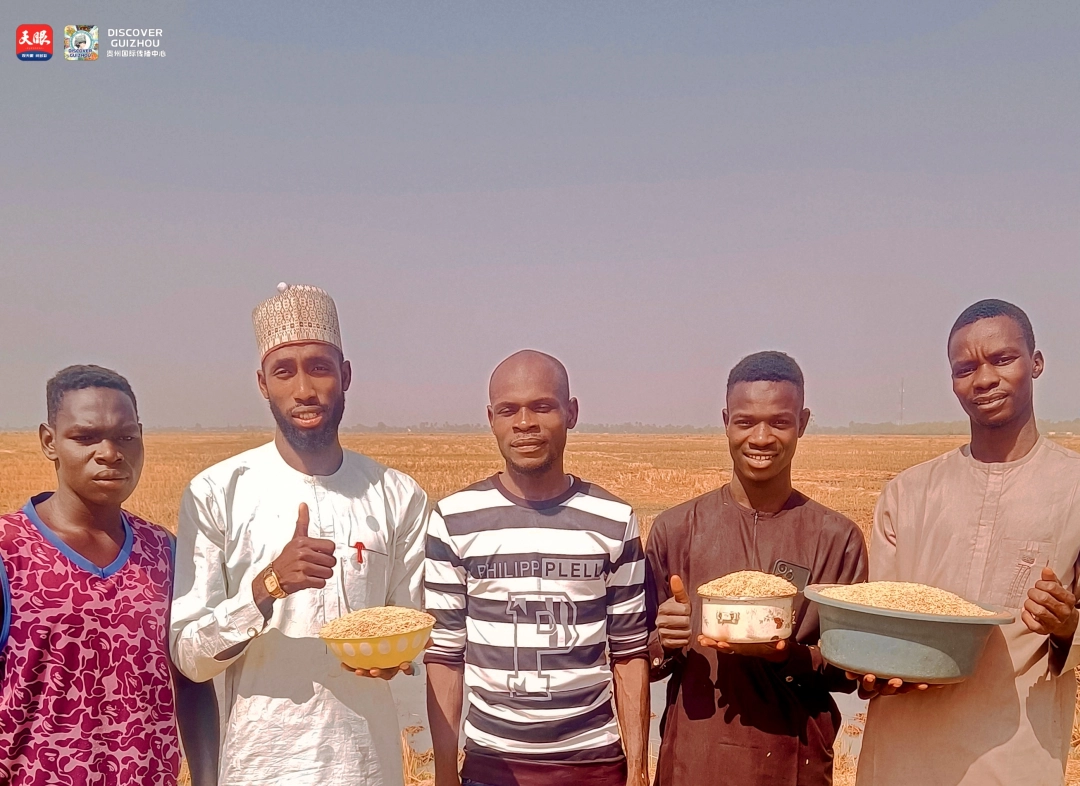 17726188486938.jpg IMG_1645.jpg