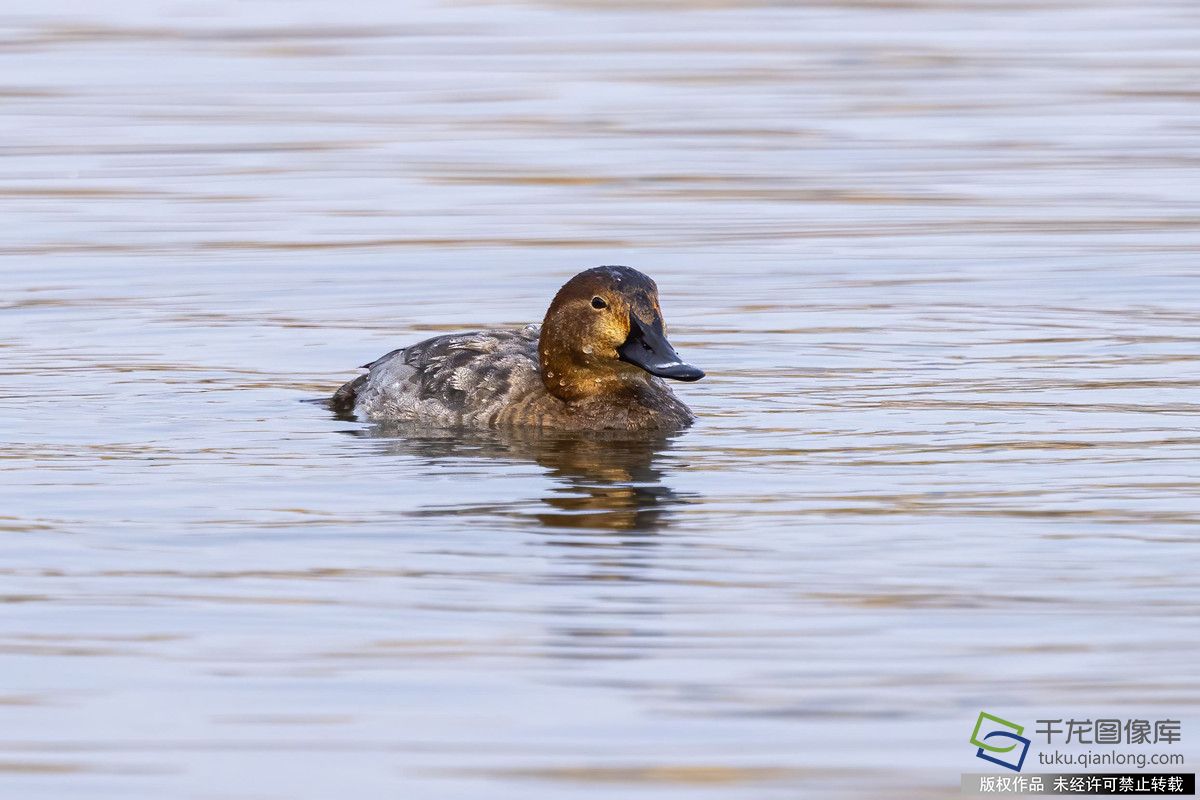 微信图片_20260304114123_1063_92_副本
