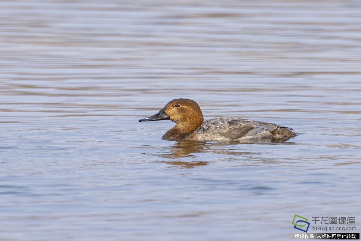 微信图片_20260304114125_1064_92_副本