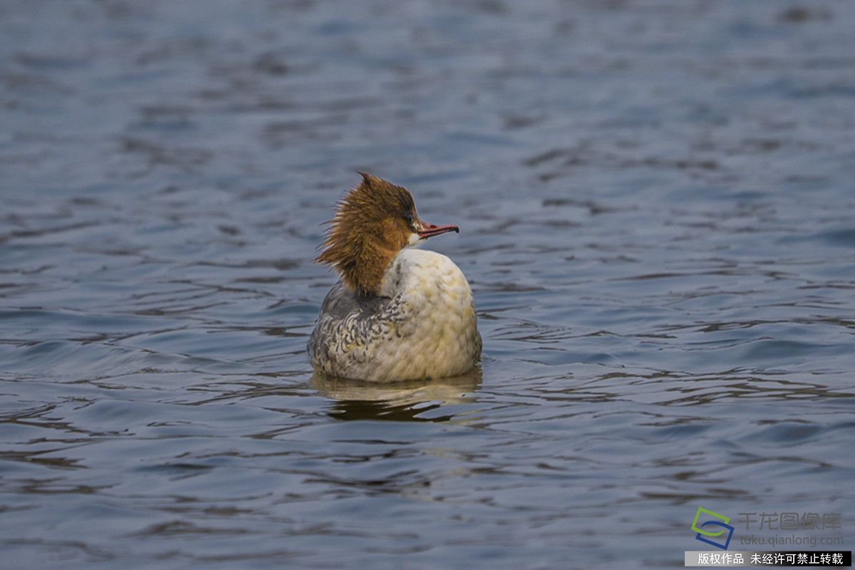 微信图片_20260304114126_1065_92_副本