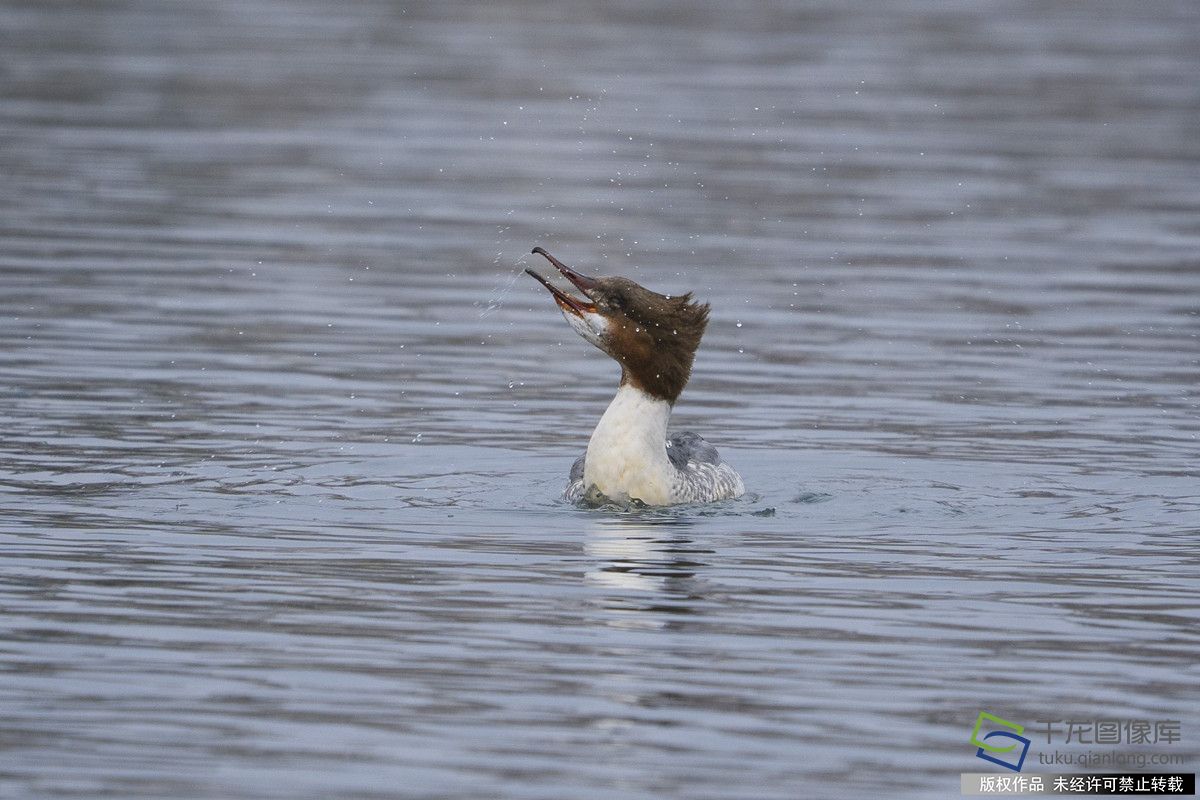 微信图片_20260304114127_1066_92_副本