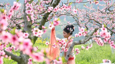 中国人的十二月令与时间美学